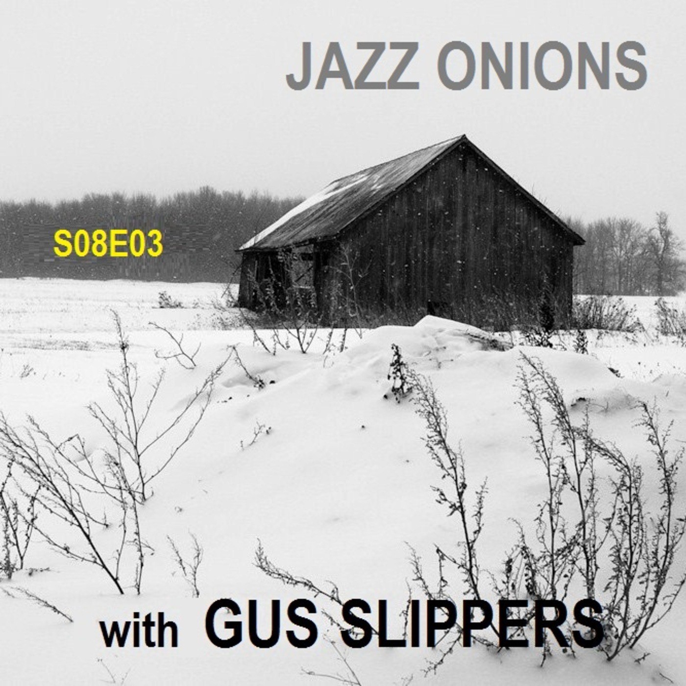 Bill\'s Big Bag of JAZZ ONIONS