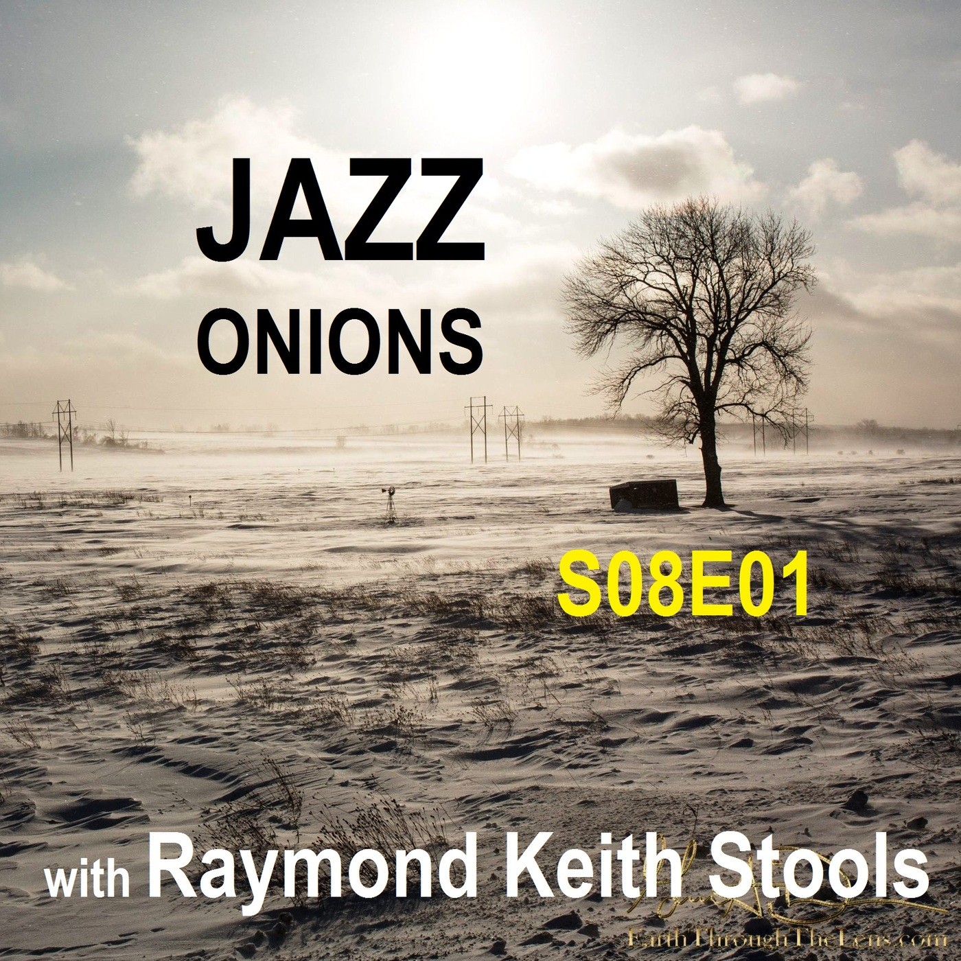 Bill\'s Big Bag of JAZZ ONIONS