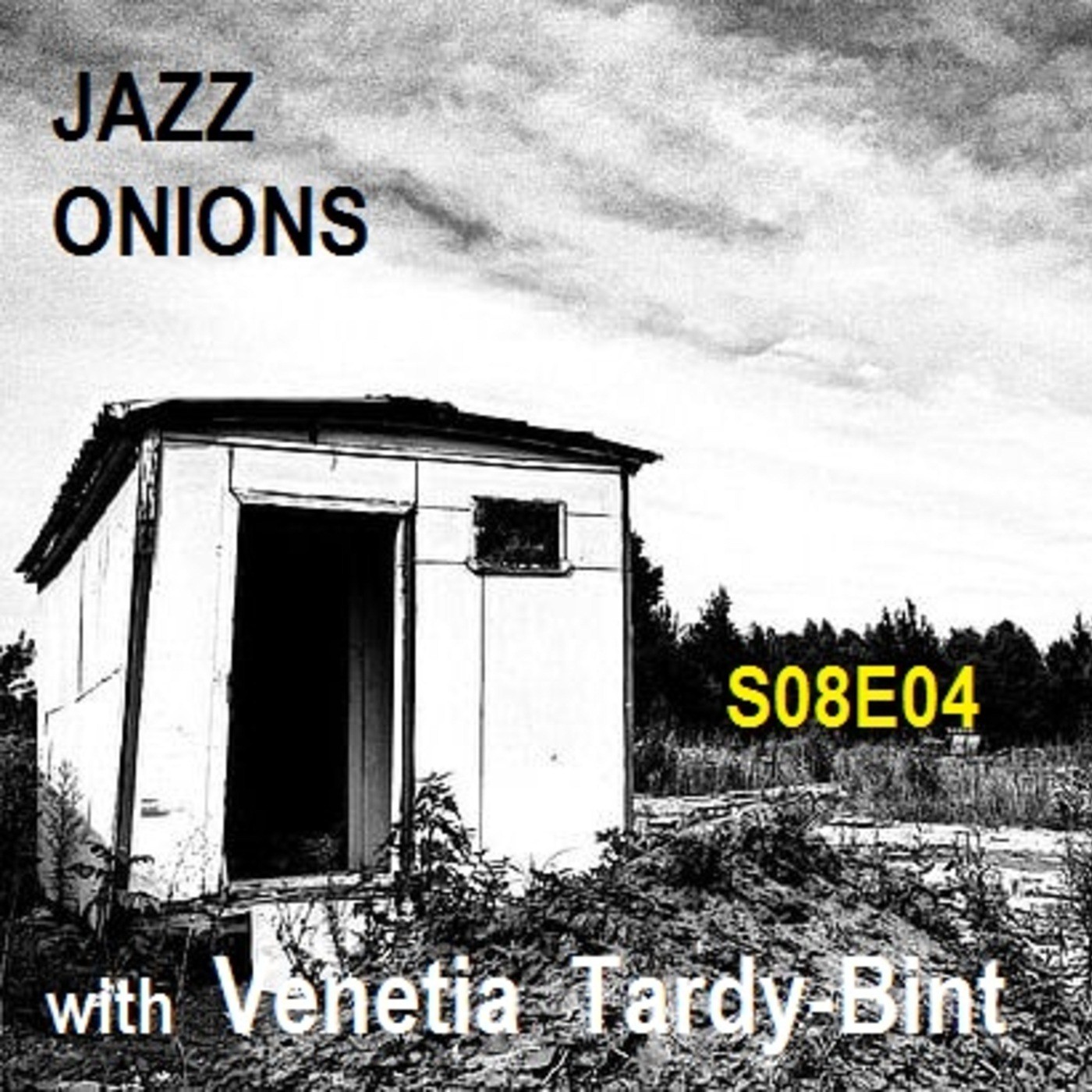 Bill\'s Big Bag of JAZZ ONIONS
