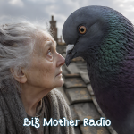 03 - PIGEONS