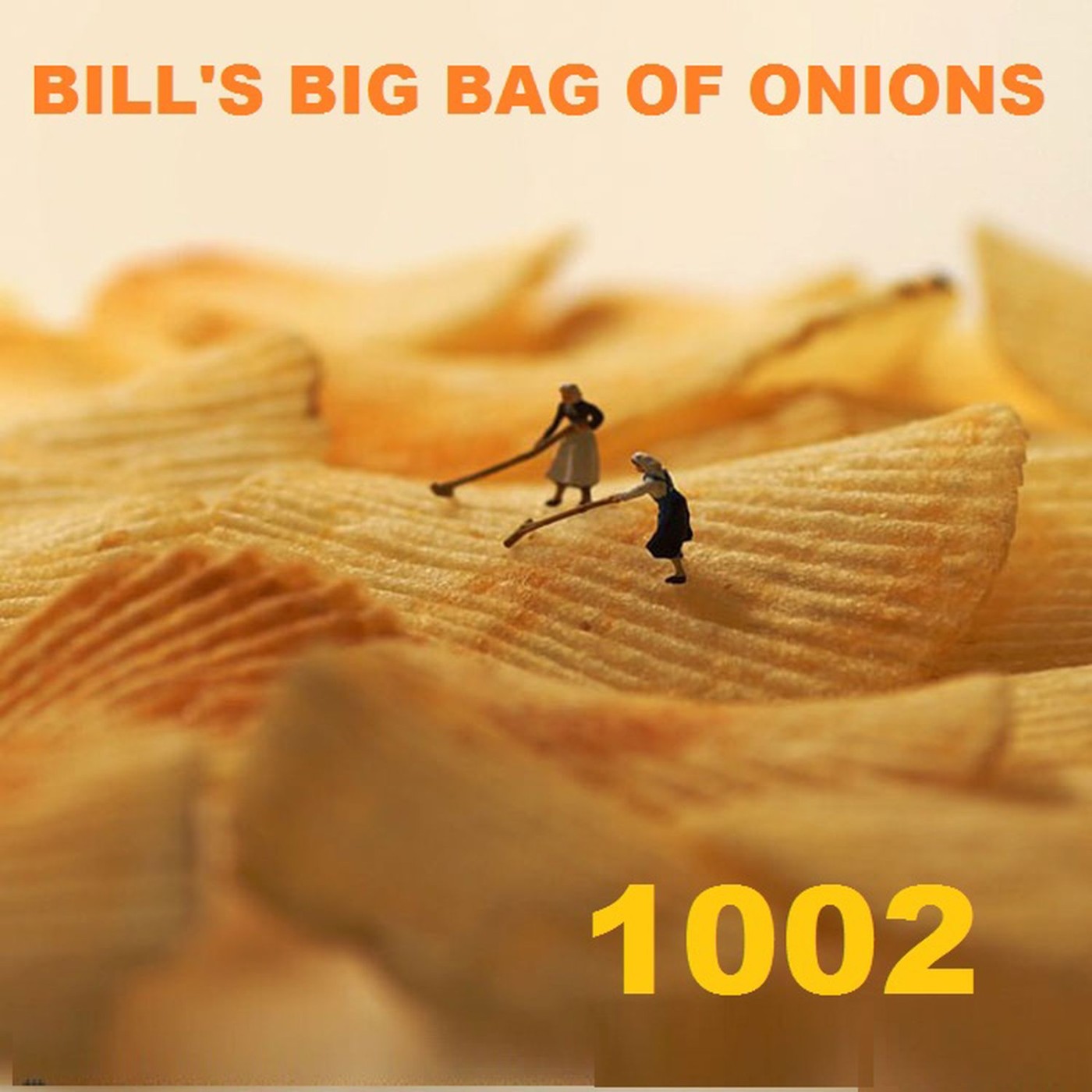 Bill\'s Big Bag of Onions