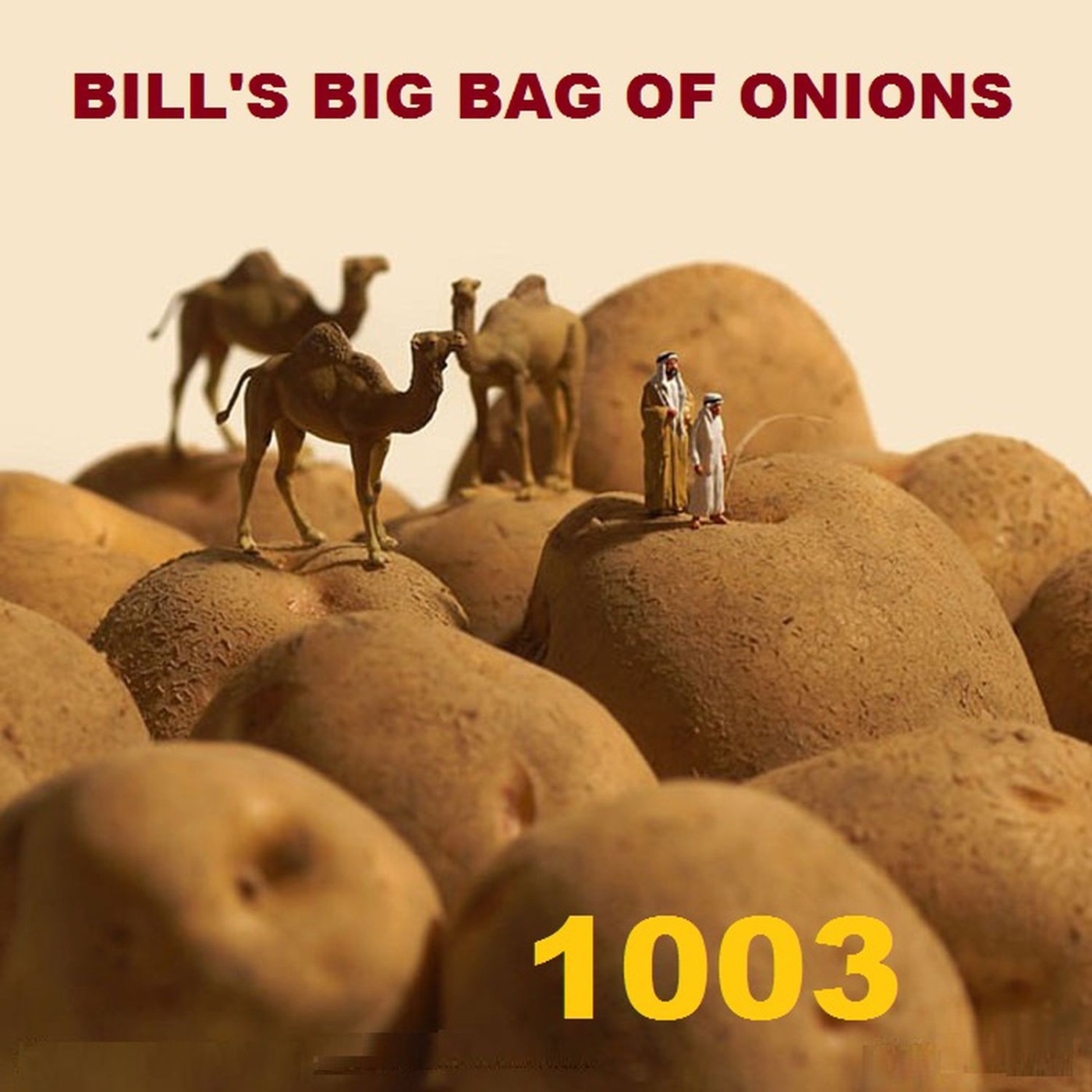 Bill\'s Big Bag of Onions