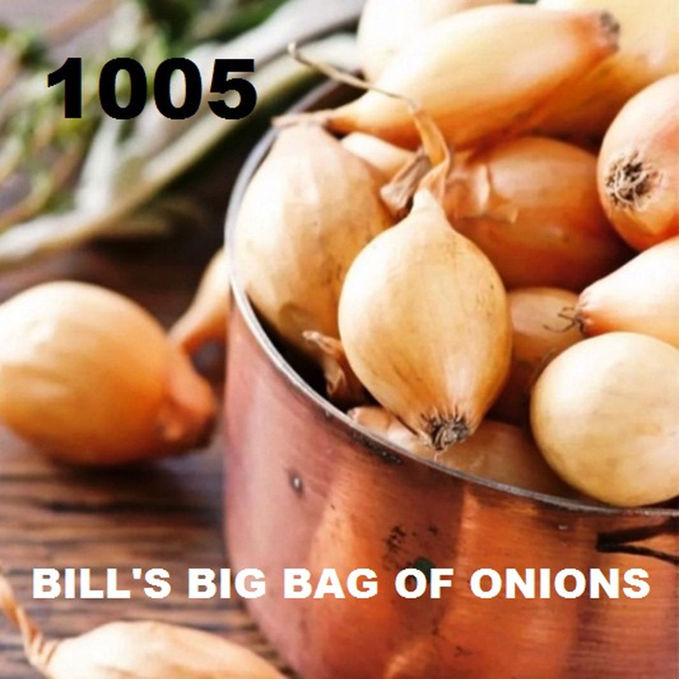 Bill\'s Big Bag of Onions