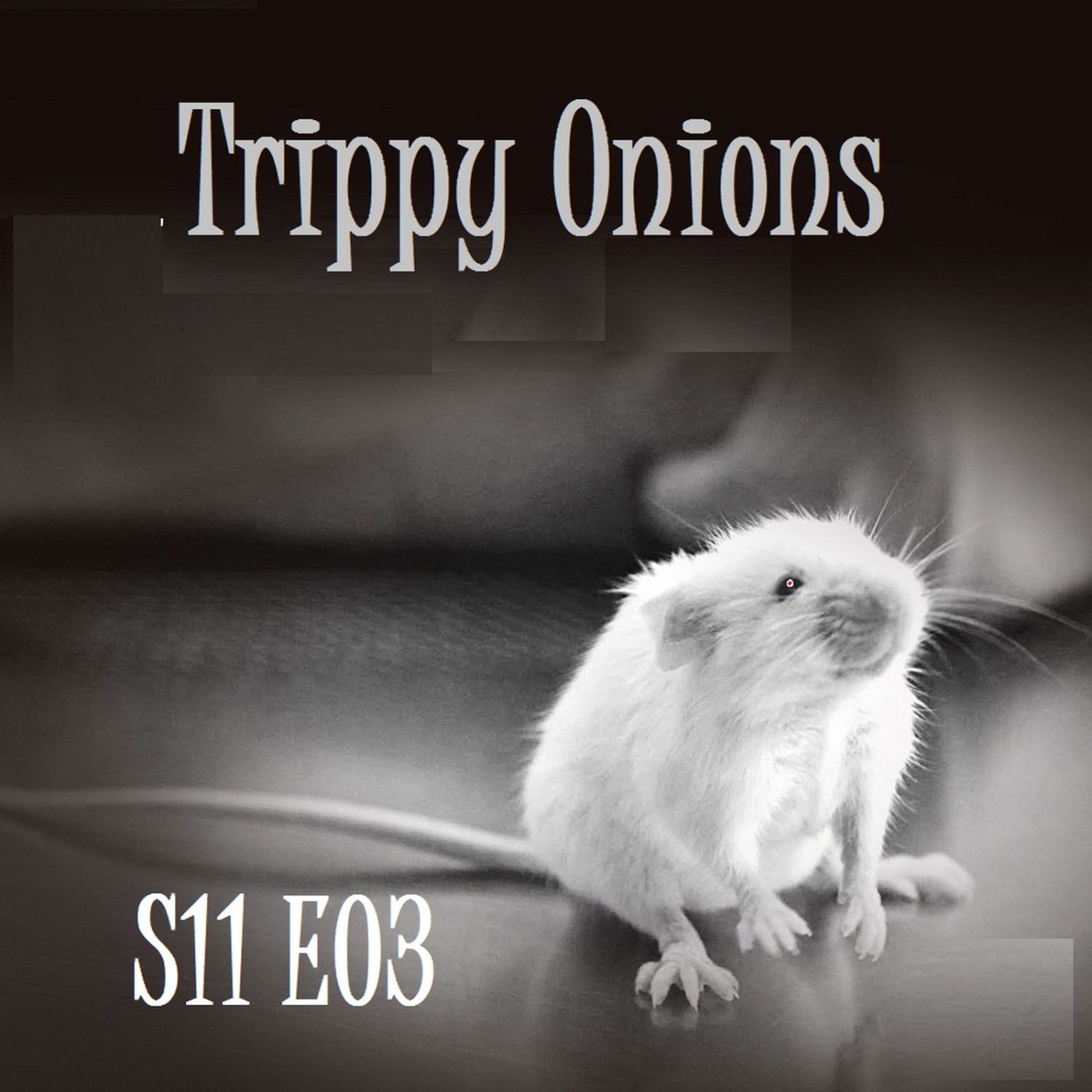Bill\'s Big Bag of Onions