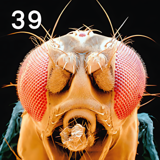 AUSGANG EXIT - IF TRUTH BE TOLD 