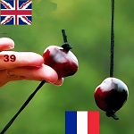 Songs in the Key of Donna