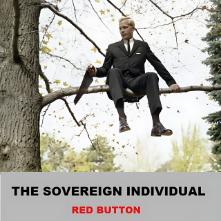 Do Something or Other #02  The Sovereign Individual